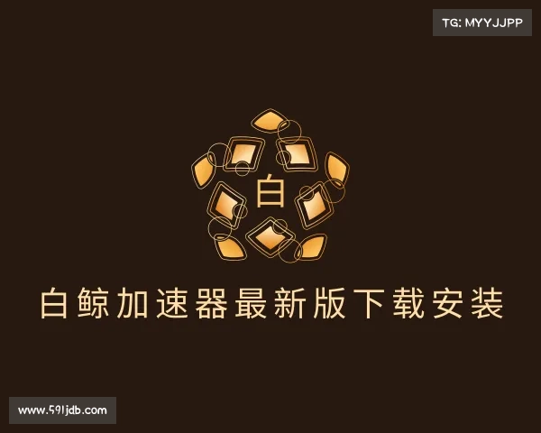 认识白鲸加速器最新版下载安装